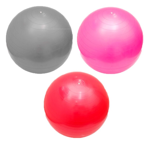 Bola Para Exercicio Suiça De Pilates 55cm Ft3 123util (1)