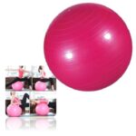 Bola Para Exercicio Suiça De Pilates 55cm Ft3 123util (1)