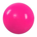 Bola Para Exercicio Suiça De Pilates 55cm Ft3 123util (1)