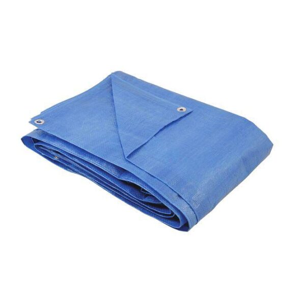 Lona De Polietileno 100micra Belfix Cilhos 2x2m 67600 (1)