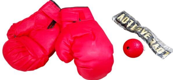 luvas kit de boxe para treino – novas.JPG