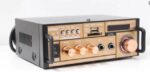 mini modulo amplificado 110-220v le-704 lelong