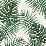 papel de parede pvc estampa folhagem tropical verde 60x13x4 1